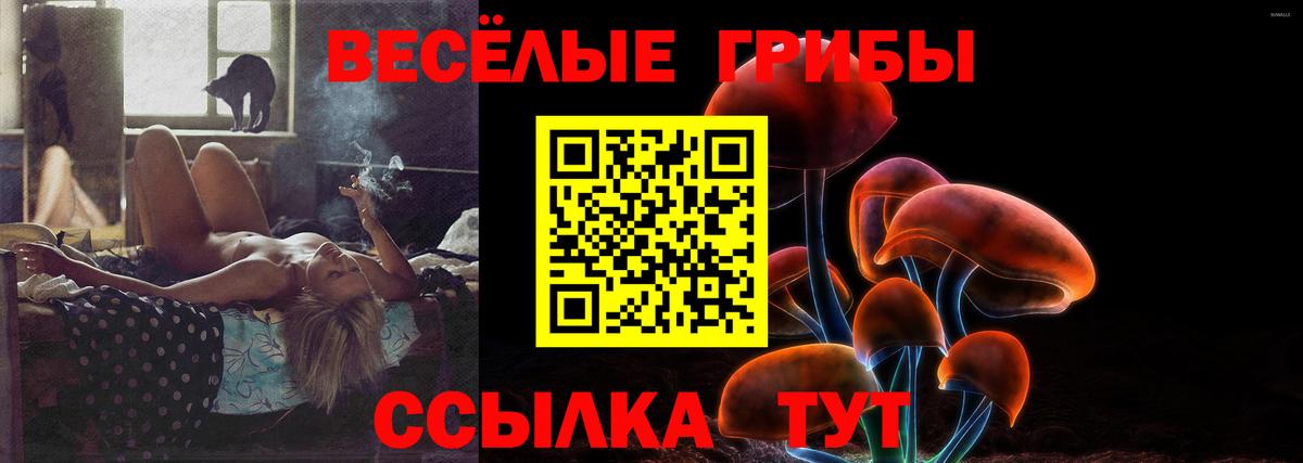 Псилоцибиновые грибы GOLDEN TEACHER  Вход с VPN  Псилоцибиновые грибы Psilocybe  Первоуральск 